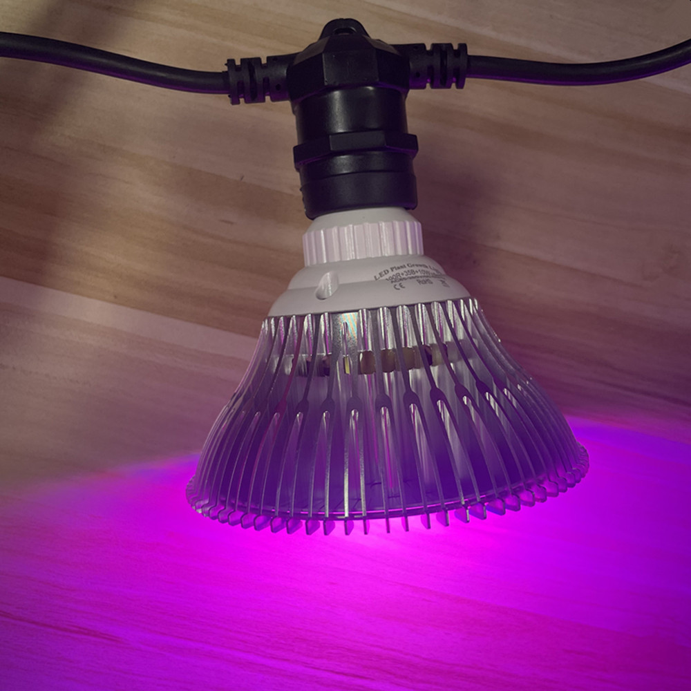 10M Kabel LED, komercyjna jako – String Light Outdoor recenzja i cena